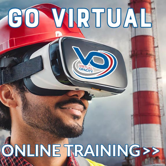 Online virtual smoke school